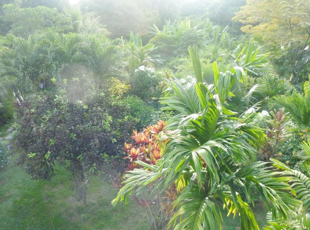 La Batie Selfcatering Apartment Beau Vallon  Bagian luar foto